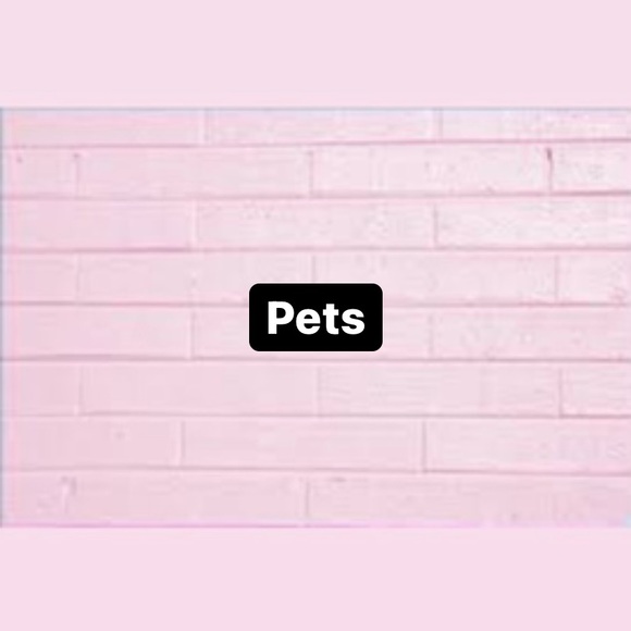 Available Pets - Picture 1 of 1